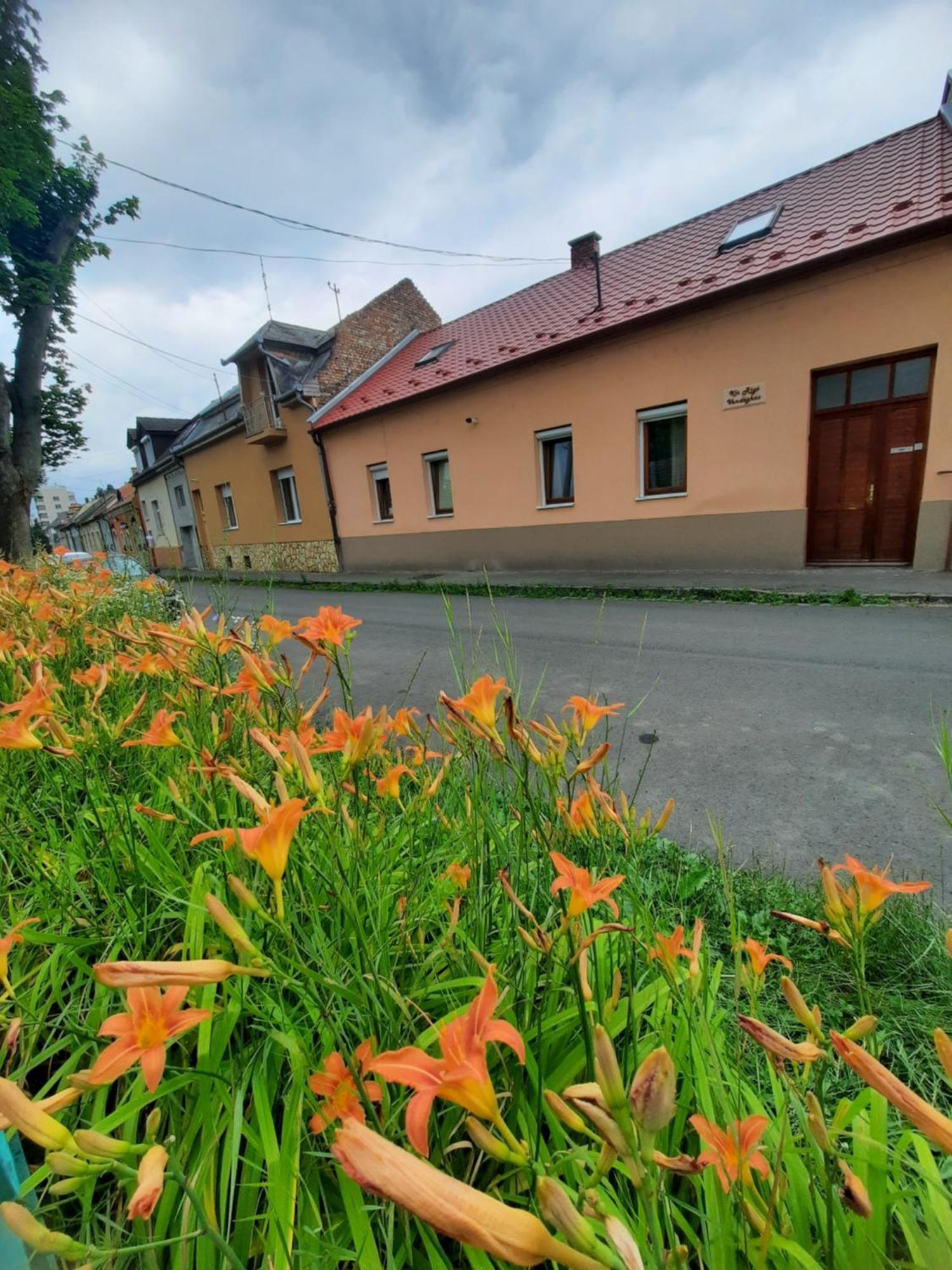 Kis Rigo Vendeghaz Hotel Salgotarjan Luaran gambar
